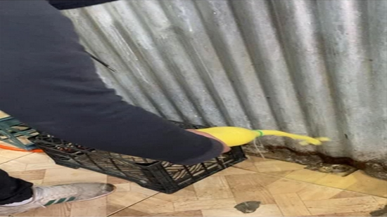 گشت مشترک بازرسی قاچاق کالا با حضور کارشناسان بهداشت محیط و غذا و دارو شبکه بهداشت اسلامشهر 